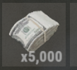 5000 in game cash